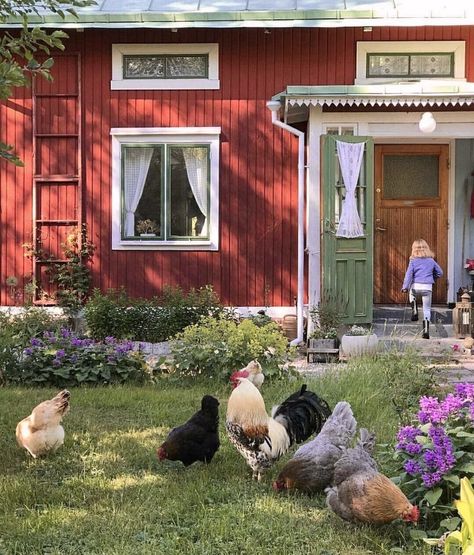 Alrauna Homestead, Sweden Aesthetic, Swedish Cottage, Summer Houses, Scandinavian Aesthetic, Red Cottage, Summer Cottage, Red House, Scandinavian Home