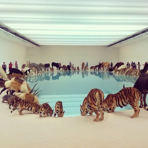 Cai Guo Qiang, Art Cube, Gallery Of Modern Art, Surreal Photos, Popular Art, Contemporary Artist, Aboriginal Art, Samoa, Fantasy Landscape