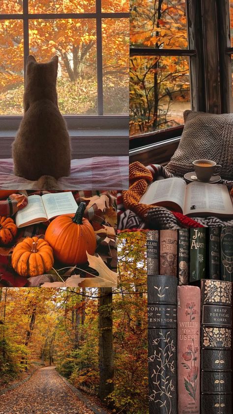 fall is here 💖🍂 #fall #fallaesthetic #fallcore #fallthings #autumn #autumnaesthetic #autumnmoodboard #fallmoodboard #autumncore Fall Vision Board, Fall Mood Board, Fall Time, Fall Feels, Fall Is Here, Fall Pictures, Autumn Aesthetic, Fall Vibes, Mood Boards