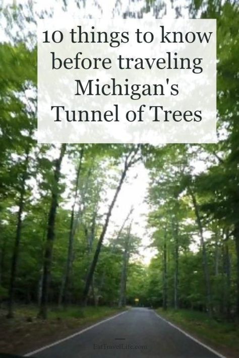 Tunnel Of Trees Michigan, Harbor Springs Michigan, Tunnel Of Trees, Munising Michigan, Ryn Frank, Midwest Vacations, Michigan Fall, Travel Michigan, Michigan Adventures