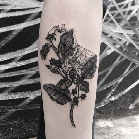 Rose Spiderweb Tattoo, Spider And Rose Tattoo, Nightshade Tattoo, Spiderweb Tattoo, 16 Tattoo, Tattoos Infinity, Web Tattoo, Tattoos Mandala, Witch Tattoo