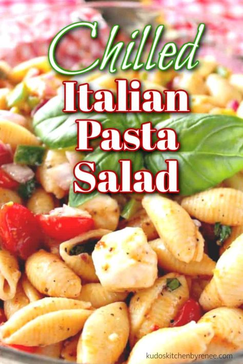 Italian Shell Pasta Salad comes together quickly with the help of store-bought bottled Italian dressing. It's wonderful as a chilled side dish or a vegetarian main course. #chilledsidedish #pastasalad #bbqsidedish #makeaheadsidedish #makeaheadbbqside #chilledpastasidedish #sidedish #popularsidedish #italianpastasalad #easypastasaladrecipe #easyitalianpastasalad #sidesforbbq #sidedishforbbq #sideforpulledpork #sidedishforribs #sideforbbqchicken #kudoskitchenrecipes Shell Pasta Salad, Pasta Salad With Mozzarella, Fresh Mozzarella Recipe, Easy Italian Pasta Salad, Shell Pasta, Italian Pasta Salad, Vegetarian Main Course, Mozzarella Recipes, Easy Pasta Salad Recipe