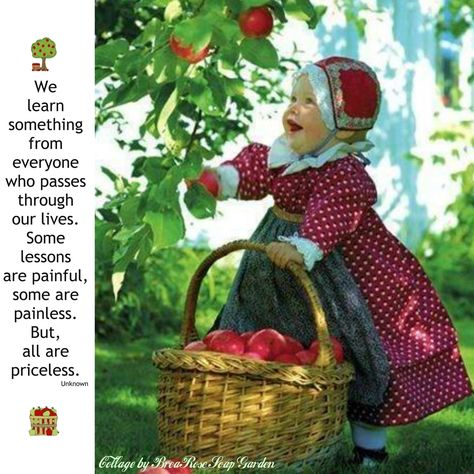 Foto Baby, Apple Tree, Red Apple, Little People, Baby Love, Apples, Photo Ideas, Textiles