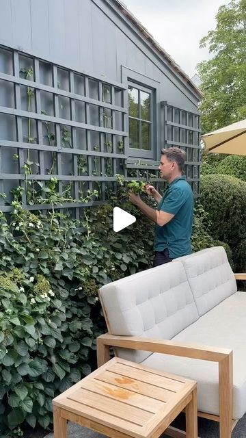 BRYAN GRAYBILL on Instagram: "Training climbing hydrangeas can be a rewarding endeavor:   1. Choose the right support: Climbing hydrangeas need a sturdy support structure to climb on. Consider using a trellis, fence, or wall that can accommodate their growth and weight.  2. Prune and shape: To encourage a well-trained climbing hydrangea, prune it in late winter or early spring before new growth appears. Remove any dead, damaged, or crossing branches. You can also prune selectively to shape the plant and control its size.  3. Tie and secure: As the plant grows, gently tie the branches to the support structure using soft plant ties or twine. Avoid using anything that may damage the branches. Tie the branches loosely to allow room for growth and prevent constricting the stems.  4. Regular mai Climbing Hydrangea Trellis Ideas, Climbing Hydrangea On Fence, Climbers For Shady Walls, Climbing Hydrangea Pergola, Fast Growing Vines Climbing, Plant Ties, Climbing Hydrangea, Support Structure, Late Winter