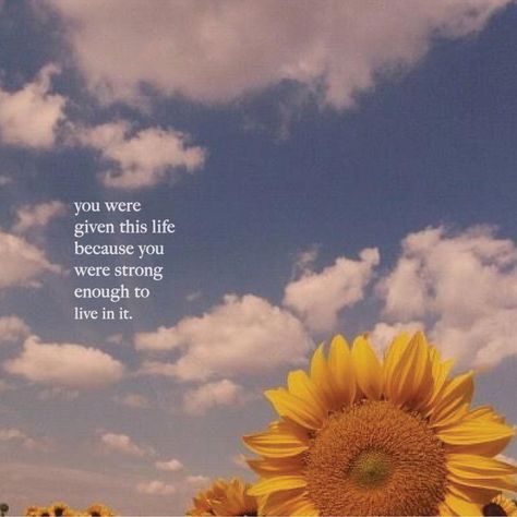 raz on Instagram: ““You were given this life because you were strong enough to live in it.”” Aesthetic Wallpaper Green, 90s Aesthetic Wallpaper, Image Aesthetic, Wallpaper Green, 90s Aesthetic, Aesthetic Wallpaper, Sunflower, Yellow, Green