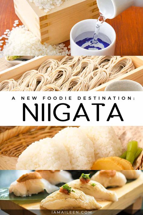 Niigata Food Guide Japan With Kids, Niigata, Food Experiences, Best Blogs, Food Quality, Foodie Travel, Food Guide, Best Restaurants, Asia Travel