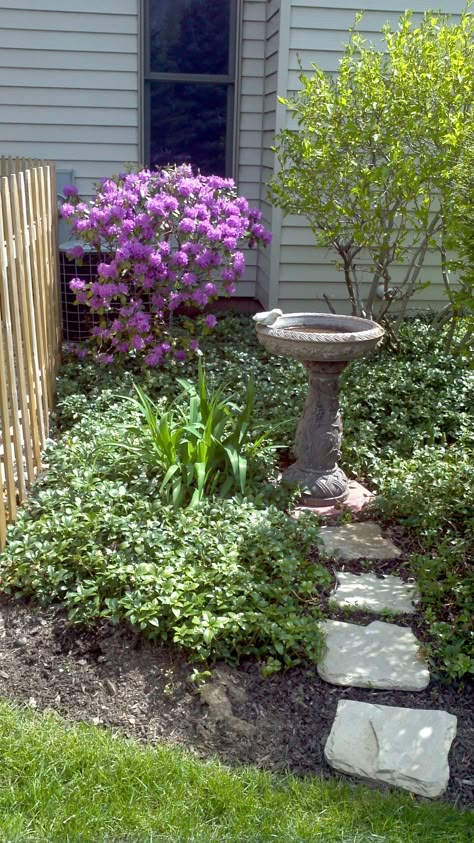 Rock Garden With Bird Bath, Landscape With Bird Bath, Garden Flag Placement Ideas, Flowers Around Bird Bath, Garden Ideas Plants, Birdbath Ideas, Bird Bath Ideas, Birdbath Garden, Garden Bird Bath