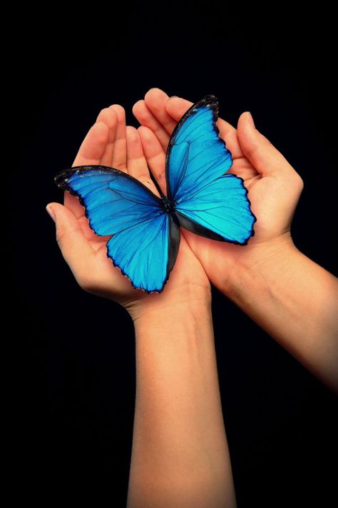 Butterfly Hands, Cement Pond, Friend Support, The Presence Of God, Presence Of God, Beautiful Butterfly Photography, Butterfly Art Painting, Cartoon Love Photo, Cupped Hands