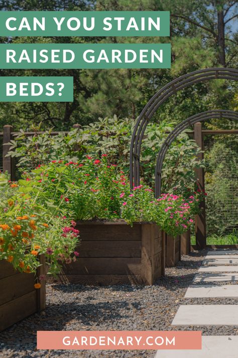 Can You Stain Raised Garden Beds? • Gardenary Stained Garden Beds, Painting Raised Garden Beds, Beautiful Raised Bed Garden, Painted Garden Beds, Painted Raised Garden Beds, Large Raised Garden Beds, Wood Garden Beds, Backyard Raised Garden, Pine Garden