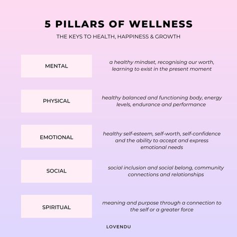 Mentally Physically Emotionally Spiritually, 5 Pillars Of Wellness, Mental Physical And Emotional Health, Pillars Of Wellness, Physical Mental Emotional Spiritual, Pillars Of Health, Financial Literacy Lessons, Health Mindset, 5 Pillars