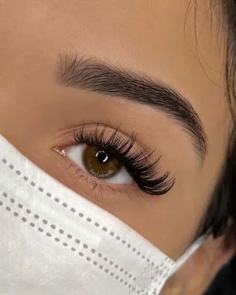 Hybrid Lashes: The Beauty Trend You Need to Try | Womeninspiredseries Doll Eye Hybrid Lashes, Simple Hybrid Lashes, Wing Lash Extensions, 17mm Lash Extensions, Whisky Hybrid Lashes, Lash Extension Hybrid, Hybrid Cateye Eyelashes Extensions, Lash Extensions Styles Hybrid, Hybrid Open Eye Lash Extensions