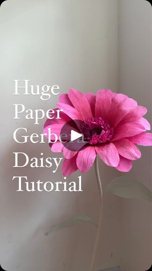 Daisy Crepe Paper Flowers, Huge Flowers, Paper Daisy, Gerber Daisies, Apartment Art, Color Spray, Crepe Paper Flowers, Giant Paper Flowers, Giant Flowers