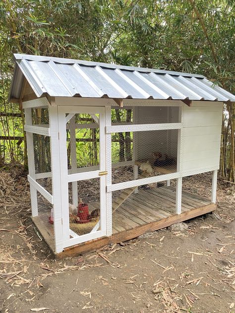 Chook Pen, Chicken Coop Building Plans, Quail Coop, Small Chicken Coops, Walk In Chicken Coop, Chicken Shed, Chicken Coop Garden, Diy Chicken Coop Plans, Chicken Bird