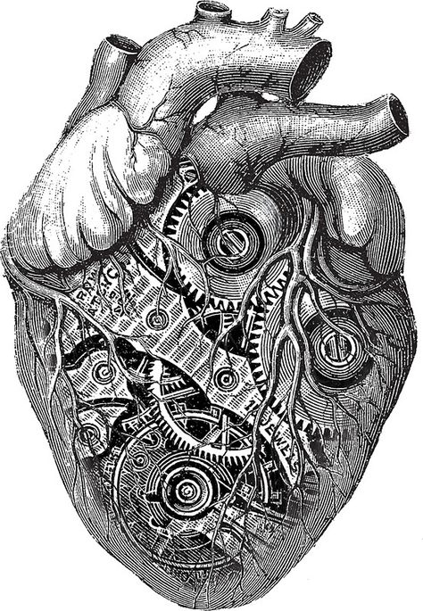 Clockwork Heart by deadcatcreation Clockwork Heart, Mechanical Heart, Anatomical Heart Art, Anatomical Heart Tattoo, Steampunk Heart, The Human Heart, Biomechanical Tattoo, Muster Tattoos, Mechanical Art