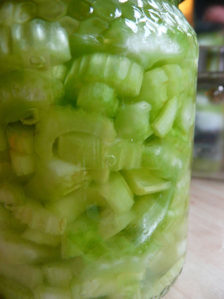 Hobbit Pantry, Pickled Cauliflower Recipe, Pickles Refrigerator, Rustic Lifestyle, Pickled Celery, Easy Pickling Recipes, Pickled Vegetables Recipe, Quick Pickles, Pickled Cauliflower