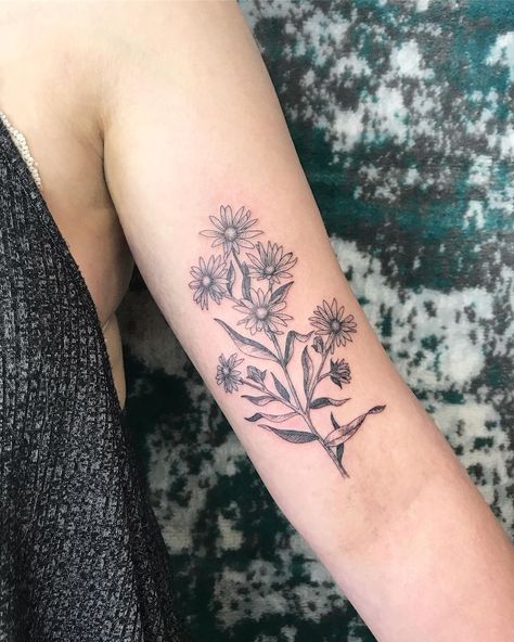 Purple Aster Flower Tattoo, Aster Flower Tattoo With Butterfly, New England Aster Tattoo, Colored Aster Flower Tattoo, Aster Flower Tattoo, Aster Tattoo, Aster Flower Tattoos, Aster Flower, Sirens