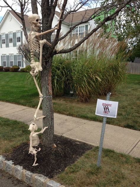 Skeletons Front Lawn, Halloween Themed Front Yard, Halloween Decorations Driveway, Front Lawn Halloween Decorations, Halloween Front Lawn Ideas, Skeleton Yard Ideas, Awesome Outdoor Halloween Decorations, Halloween Outdoors, Skeleton Poses