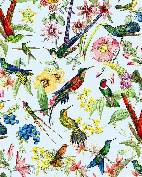 Elizabeth's Studio Hummingbird Heaven - Wildflower Frenzy - Chambray/Gold Cotton Quilting Fabric, Coordinating Fabrics, Cream And Gold, Pink Candy, Fabric Online, Tropical Flowers, Hummingbirds, Cotton Quilts, Fat Quarters