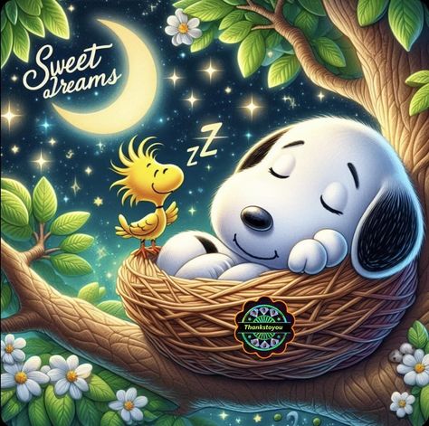 Sleeping Snoopy - Sweet Dreams Cute Good Night Messages, Goodnight Baby, Sweet Dreams Pictures, Dreams Pictures, Goodnight Snoopy, Good Morning Snoopy, Good Night Funny, Happy Birthday Greetings Friends, Snoopy Images