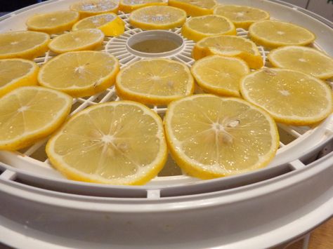 Dehydrating Lemons, Dehydrated Veggies, Preserve Lemons, Dried Lemon Slices, Dehydrator Recipes Fruit, Dehydrated Citrus, Dehydrate Pineapple, Canning For Beginners, Dried Lemon Zest