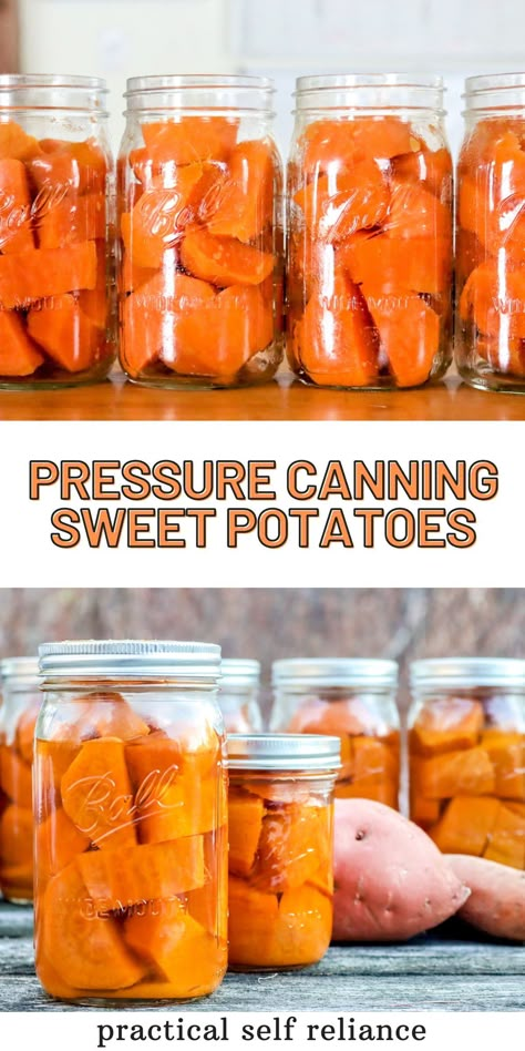 How To Waterbath Canning, All American Pressure Canner Recipes, How To Can For Beginners, Pressure Canning Sweet Potatoes, Vegan Pressure Canning Recipes, Canning Sweet Potatoes In Syrup, Canning Beets Recipes Water Bath, Gluten Free Canning Recipes, Dry Canning Sweet Potatoes