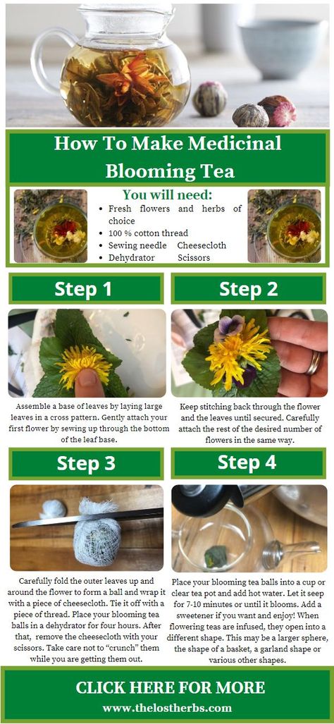 Blooming Flower Tea, Medicine Recipes, Teas Recipes, Herbal Medicine Recipes, Nature Healing, Blooming Tea, Holistic Diet, Herbal Teas Recipes, Healthy Teas