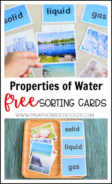 Water In Different Forms, Go Together Cards Montessori, Water Cycle Montessori, Learning About Water Preschool, Montessori Water Activities, Water Preschool Activities, Water Kindergarten, Water Preschool, Kindergarten Science Curriculum