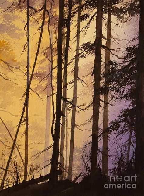 Dawn Painting, Sunset Drawing, Landscapes Paintings, Tree Background, Watercolor Landscapes, Tree Sketches, Forest Illustration, Landscape Paintings Acrylic, Fantasy Forest