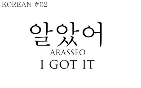 Arasseo! I'm going to start using this one with Steph. Learning Korean Grammar, Korean Slang, Learn Basic Korean, Learn Korean Alphabet, Easy Korean Words, Learn Hangul, Learn Korea, Korean Writing, Korea Language