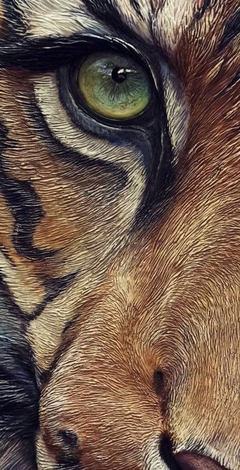 Animal Eye Painting, Jaguar Eyes Drawing, Lion Wallpapers, Tiger Eye Painting Acrylic, Tiger Eyes Paintings, Tiger Face Photography, Leopard Eyes, Beautiful Acrylic Painting, Easy Acrylic Painting Ideas