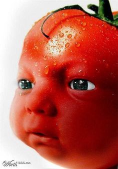 Fruit face Tomato Pot, Movie Bloopers, Tomato Seedlings, Baby Fruit, Silly Images, Very Funny Pictures, Silly Pictures, Funny Reaction Pictures, Bloopers