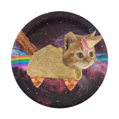 Unicorn cat - taco cat - space cat - tabby cat paper plate #pet #humor #kitty #feline #pizza #paperplate - Cat person? #cat #feline Pet Humor, Cat Paper, Taco Cat, Unicorn Cat, Space Cat, Paper Plate, Tabby Cat, Water Bottles, Kitty