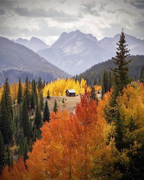 GOOD MORNING ☀️ USA 🇺🇸 on Instagram: “📷 by @hello_mallory Tag us or use #gmusa to be featured ❤️ ☆ Check out @goodmorning.theusa for more inspiration ☆” Good Morning Usa, Outside Nature, Autumn Adventures, Colorado Cabins, Leaf Peeping, Dog Camping, Cabin In The Woods, Cabin Life, Cabins In The Woods