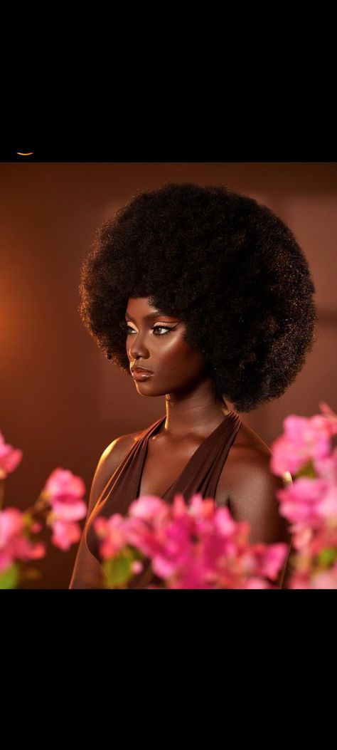 Beautiful Photoshoot Ideas, Creative Photoshoot Ideas, Glam Photoshoot, Afro Wigs, Beauty Photoshoot, Dark Skin Beauty, Beauty Shoot, Beauty Portrait, 4c Hairstyles