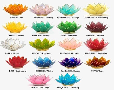 Flower Color Meaning, Lotus Flower Color Meaning, Lotus Meaning, Japanese Lotus Flower, Lotus Flower Colors, Lotus Flower Tattoo Meaning, Lotus Flower Meaning, Candle Color Meanings, Japanese Lotus