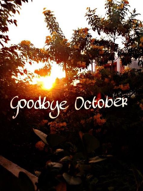 Goodbye October, Fall Color Trees, October Libra, Autumn In My Heart, October Quotes, Libra Season, Fb Cover Photos, Hello October, Special Pictures