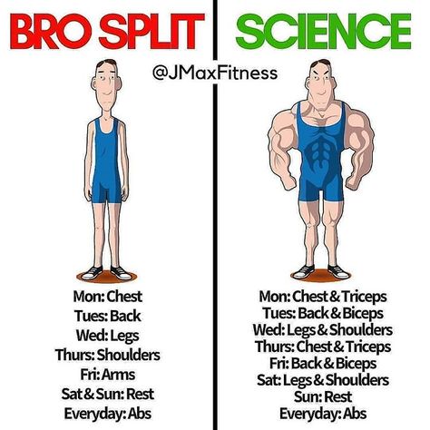 BRO SPLIT vs SCIENCE by @jmaxfitness . . What is the best workout split for you? . I remember when I started training, all I’d used to do… Bro Split, Best Workout Split, Workout Split, Logo Fitness, Workout Gym Routine, Gym Workout Guide, Transformation Fitness, Bodybuilding Program, Gym Antrenmanları