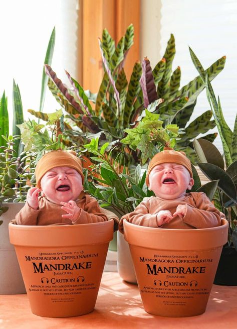 Twin Costume Ideas for Halloween Twin Baby Costumes Halloween, Twin Halloween Costumes For Babies, Baby Twin Halloween Costumes, Twin Baby Costumes, Twin Costume Ideas, Costume Ideas For Halloween, Twin Costumes, Breastfeeding Twins, Pregnant Halloween Costumes