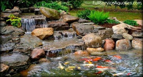 Waterfalls Water Garden Ideas, Koi Pond Design, Kolam Koi, Bog Garden, Garden Pond Design, Diy Pond, Koi Ponds, Fountains Backyard, Pond Waterfall