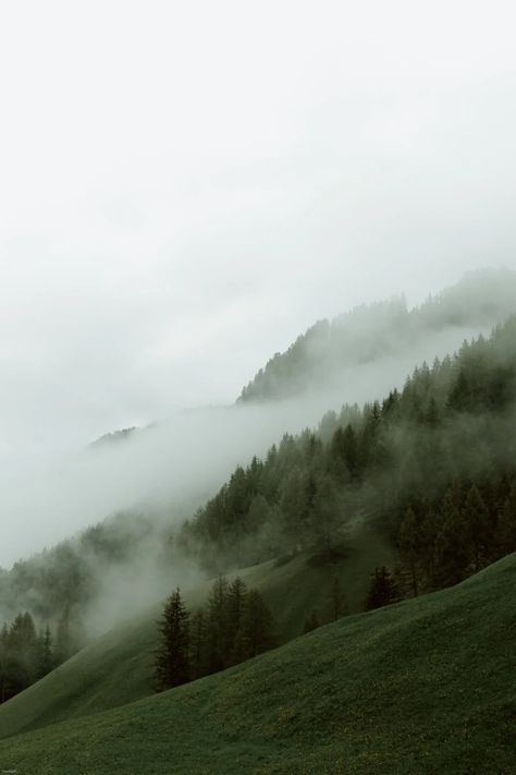 Mountain Aesthetic, Foggy Mountains, Foggy Forest, Misty Forest, Image Bank, Adobe Photoshop Lightroom, Natural Fragrances, Photoshop Lightroom, Green Aesthetic