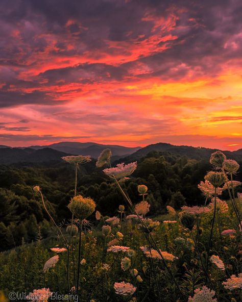 Fiery Sunset, Gorgeous Sunset, Brand Colors, Color Ideas, Beautiful Landscapes, Shades, Natural Landmarks, In This Moment, Orange