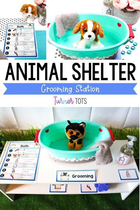 Animal Pretend Play Ideas, September Dramatic Play Ideas, Diy Pet Vet Dramatic Play, Preschool Play Center Ideas, 1st Grade Dramatic Play, Pretend And Learn Center Ideas, Dramatic Play Center Themes, Pet Dramatic Play Preschool, Pet Adoption Dramatic Play