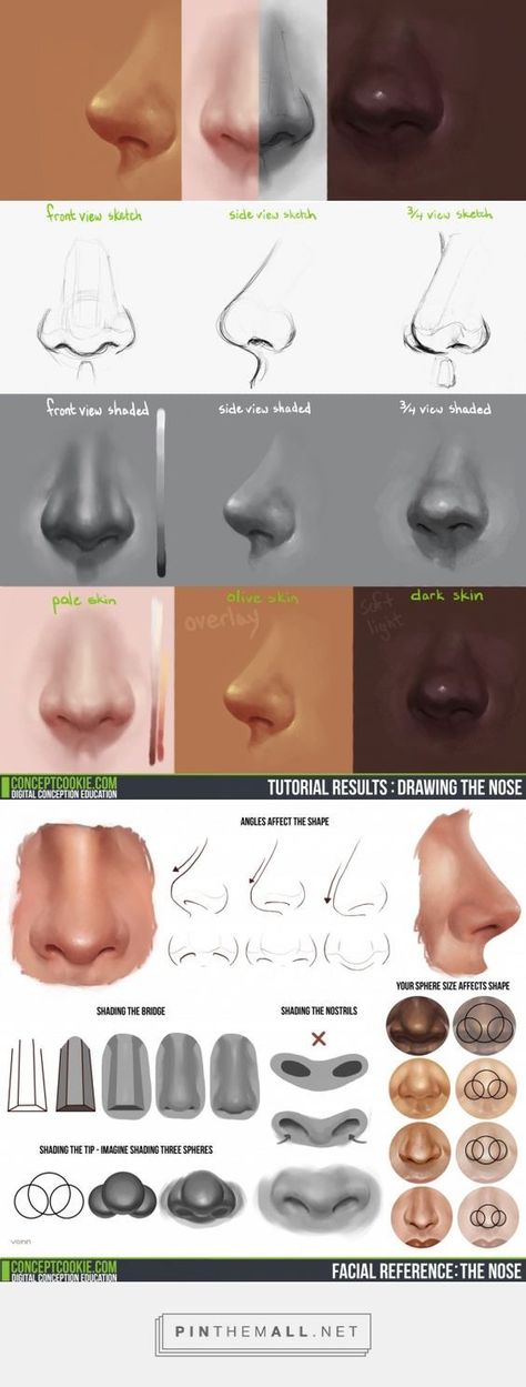 Tim Von Rueden takes you through drawing the nose in a front, side, and ¾ view: http://conceptcookie.tumblr.com/post/87229828821/drawing-the-nose-v… | Pinterest: Nose Drawing, Digital Painting Tutorials, Art Instructions, Anatomy Reference, Drawing Tutorials, Art Tutorial, Character Design References, Digital Art Tutorial, Painting Tips