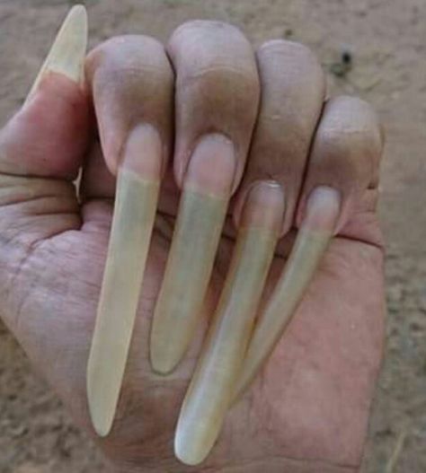 Natural Curved Nails, Cute Stilleto Nails, Long Natural Nails, Curved Nails, Natural Nails, Long Nails, Nails, Quick Saves