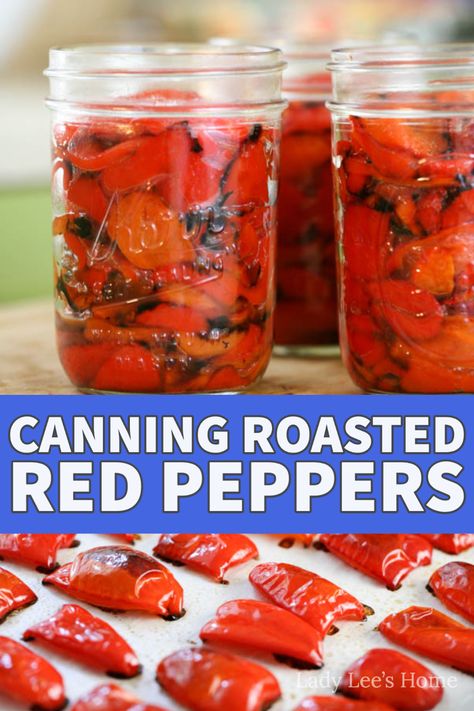 Canning Roasted Red Peppers, Can Peppers, Pickling Peppers, Canning Bell Peppers, Roasted Red Peppers Recipes, Garden Peppers, Canning Peppers, Red Pepper Recipes, Pressure Canning Recipes