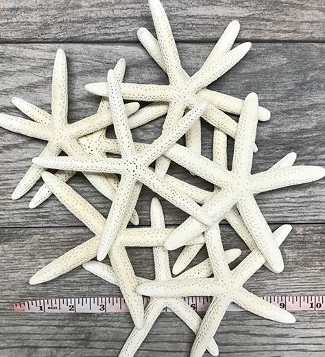 Amazon.com: Nautical Crush Trading Starfish | White Finger Starfish 4"-5" (10) | Plus Free Nautical eBook by Joseph Rains: Home & Kitchen Ocean Centerpieces, Nautical Table Decor, Coastal Party, Beach Table Decorations, Starfish Craft, Starfish Wall Decor, Beach Christmas Trees, Seaside Home Decor, Themed Ornaments