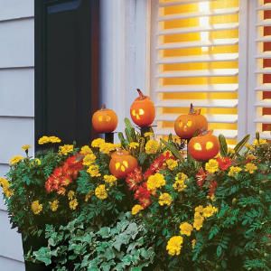 Carving these irresistible ‘Wee-B-Little’ pumpkins is a super-simple, quick, entertaining project, regardless of your age. | SouthernLiving.com Outside Fall Decorations, Fall Window Boxes, Fall Windows, Fall Planters, Halloween Window, Halloween Pumpkins Carvings, Have Inspiration, Window Boxes, Deco Floral