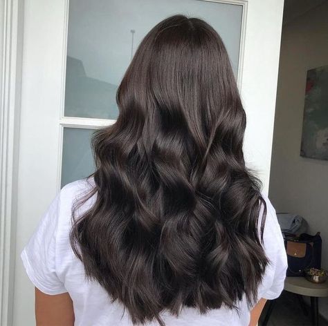 Dark Long Hair Color Ideas, Dark Burnett Hair, Glossy Brown Hair, Natural Black Hair, Dark Brunette Hair, Chocolate Brown Hair Color, Brown Hair Inspo, Bronde Hair, Curls For Long Hair