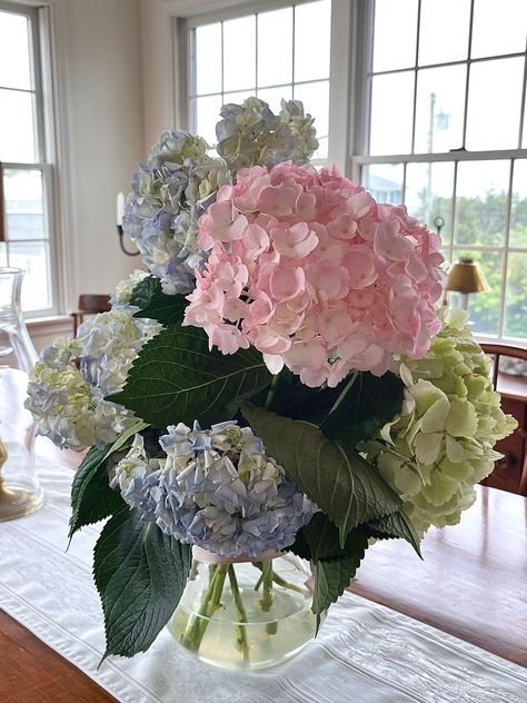 she’s finishing the school year with perfect grades Hydrangea Aesthetic, Nothing But Flowers, Flower Therapy, Summer 24, Nantucket, Love Flowers, My Flower, Pretty Flowers, East Coast