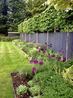 Garden Boarders Ideas, Garden Border Plants, Back Garden Landscaping, Fence Border, Courtyard Gardens Design, Garden Privacy, Back Garden Design, Patio Garden Design, Garden Makeover